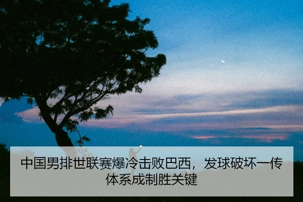 zhong-guo-nan-pai-shi-lian-sai-bao-leng-ji-bai-ba-xi-fa-qiu-po-huai-yi-chuan-ti-xi-cheng-zhi-sheng-guan-jian-2-887.jpg