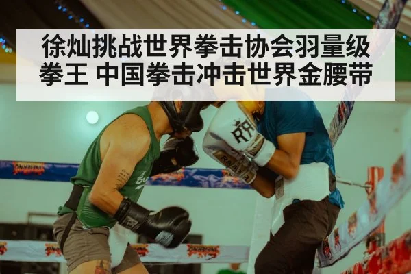 徐灿挑战世界拳击协会羽量级拳王 中国拳击冲击世界金腰带