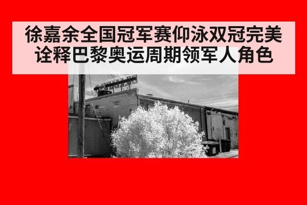 徐嘉余全国冠军赛仰泳双冠完美诠释巴黎奥运周期领军人角色